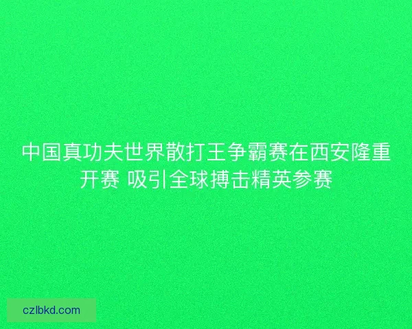 中国真功夫世界散打王争霸赛在西安隆重开赛 吸引全球搏击精英参赛 中国真功夫世界散打王争霸赛在西安隆重开赛 吸引全球搏击精英参赛