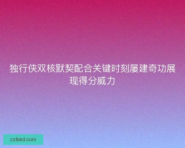 独行侠双核默契配合关键时刻屡建奇功展现得分威力