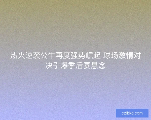 热火逆袭公牛再度强势崛起 球场激情对决引爆季后赛悬念
